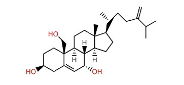 Erectasteroid G